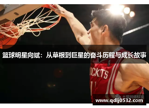 篮球明星向斌：从草根到巨星的奋斗历程与成长故事