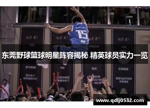 东莞野球篮球明星阵容揭秘 精英球员实力一览